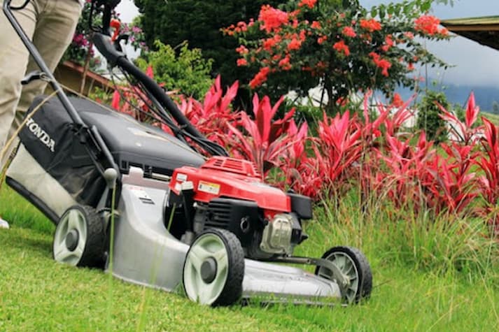 cara membersihkan busi mesin potong rumput